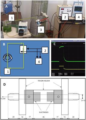 Electroporation as a Solvent-Free Green Technique for Non-Destructive Extraction of Proteins and Lipids From Chlorella vulgaris